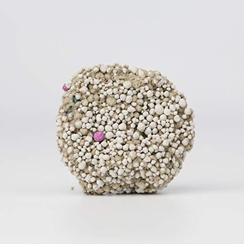 Apple scent 20 KG  packing ( With door delivery )